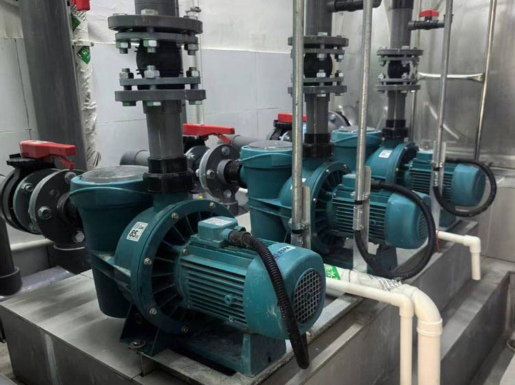 泳池循環(huán)水泵